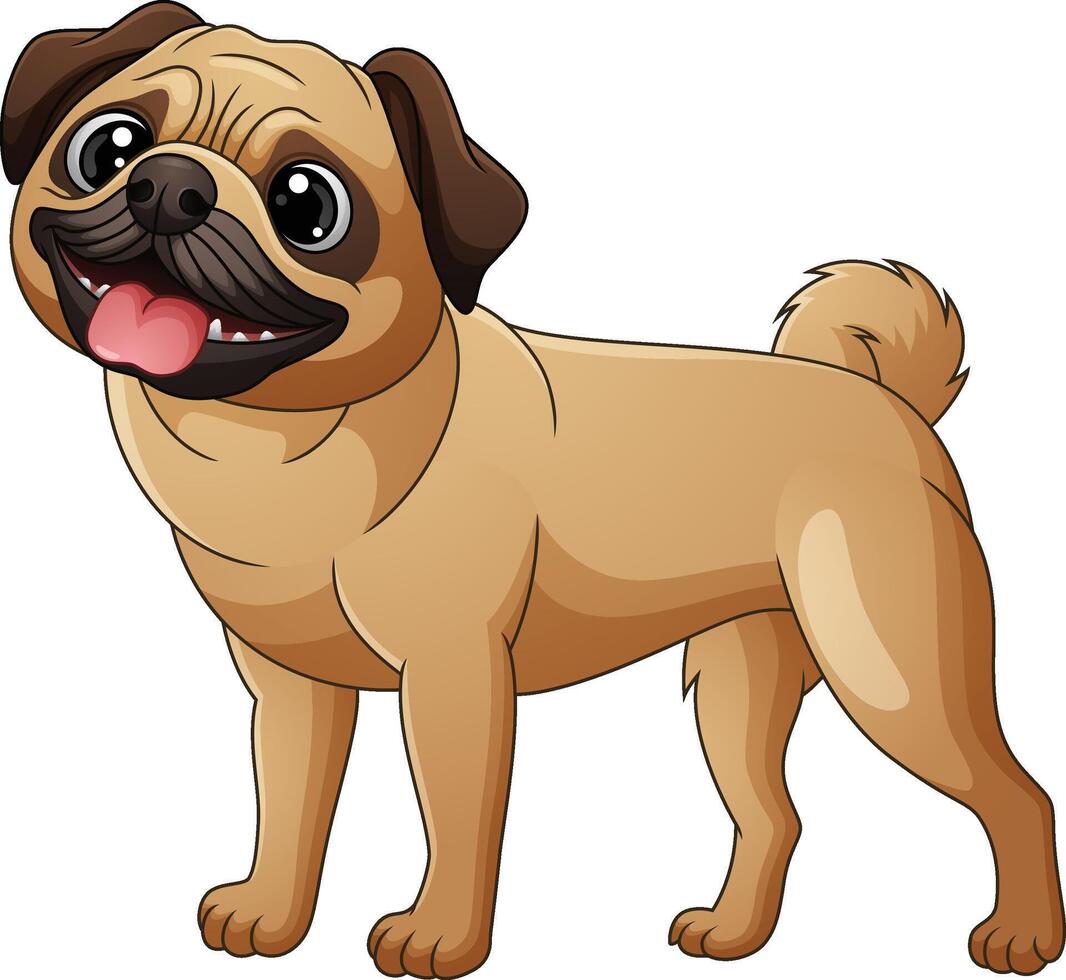 Cute pug dog cartoon isolated on white background vector
