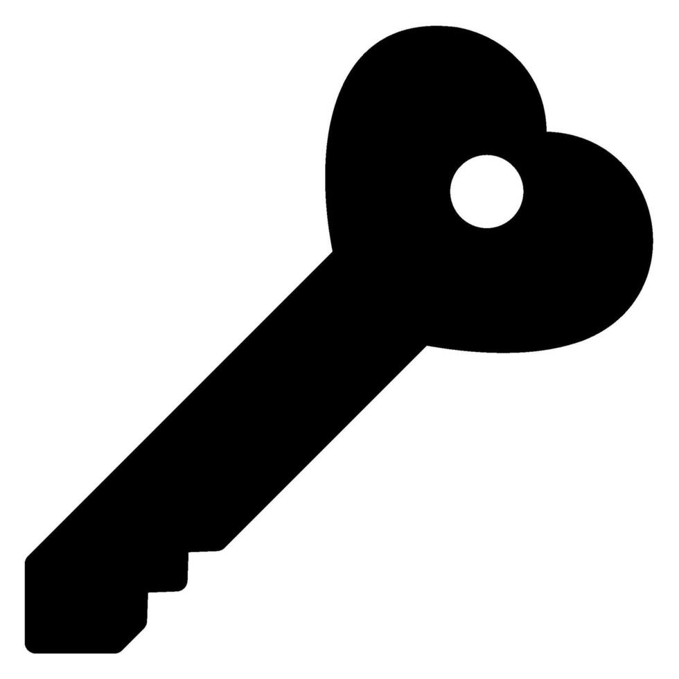 key glyph icon vector