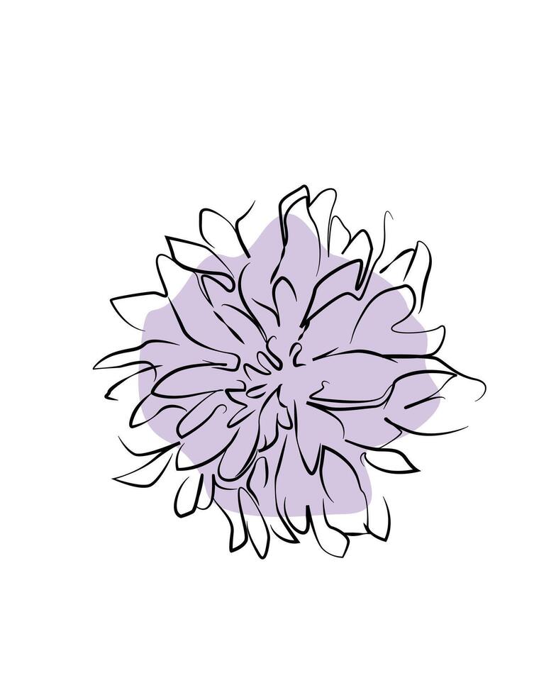 dahlia purple flower minimal design line art concept vector