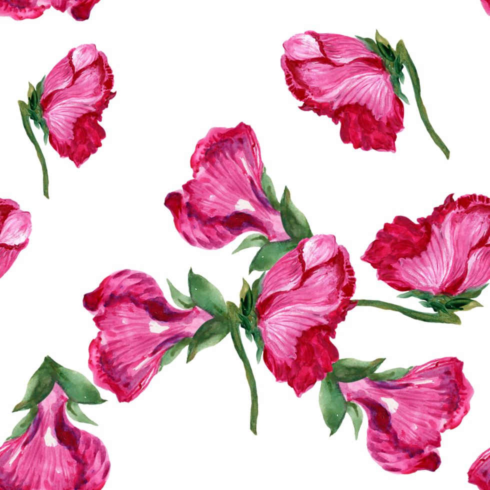 Seamless pattern little flower tiny blossom isolated pansy png