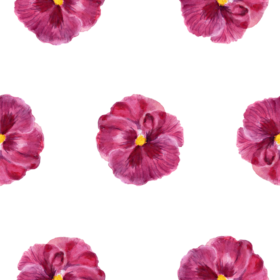 Seamless pattern little flower tiny blossom isolated pansy png