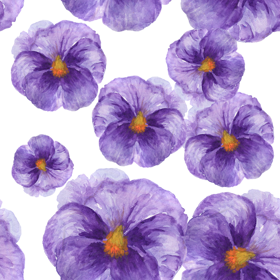 Seamless pattern little flower tiny blossom isolated pansy png
