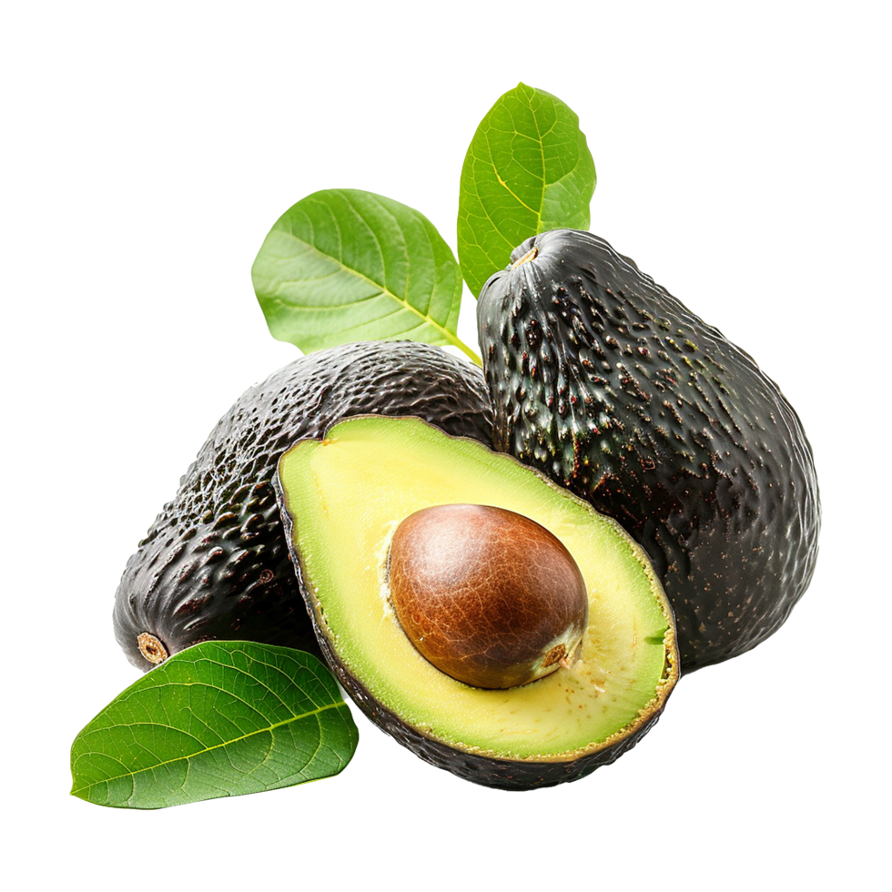 Avocado fruit isolated on transparent background png