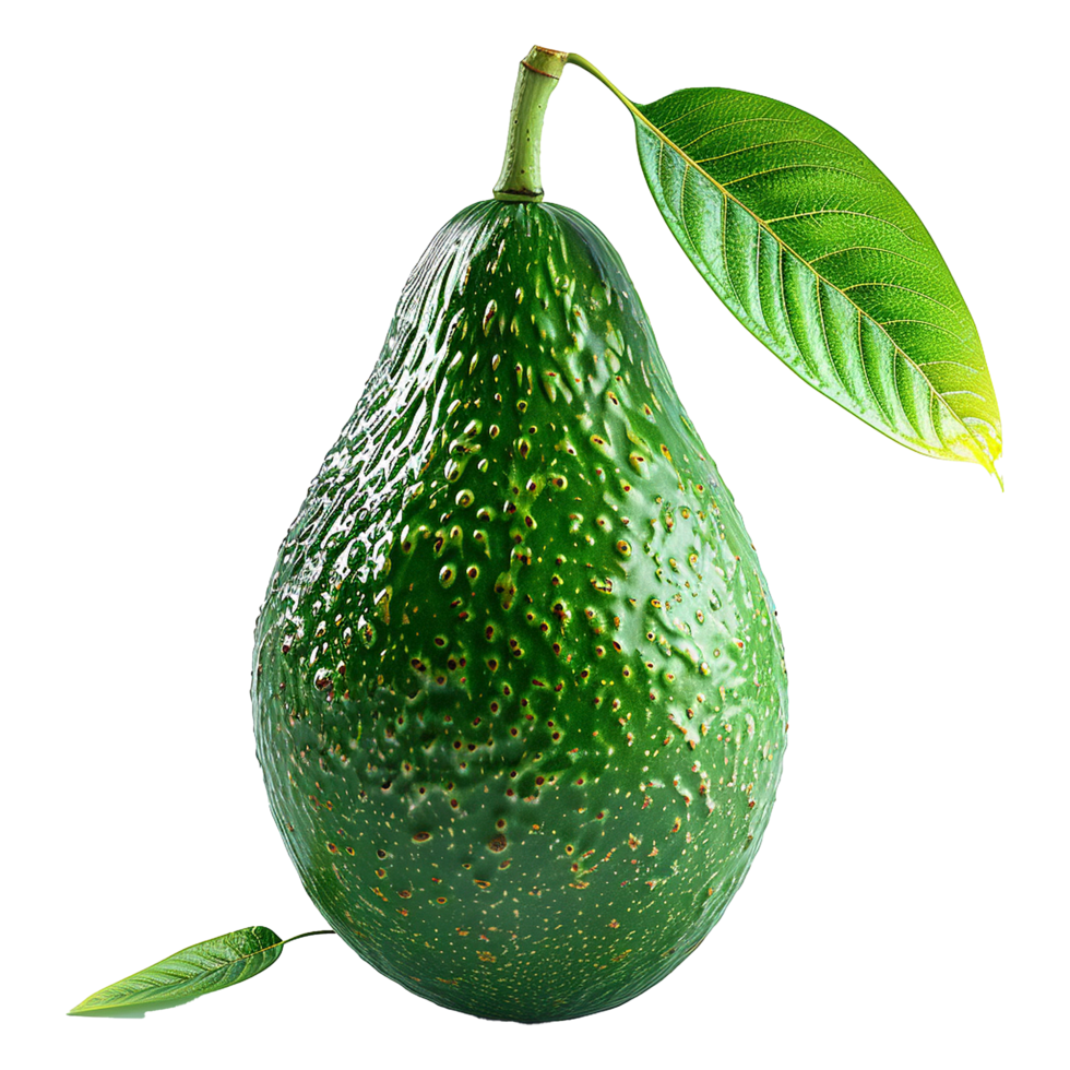 Avocado fruit isolated on transparent background png