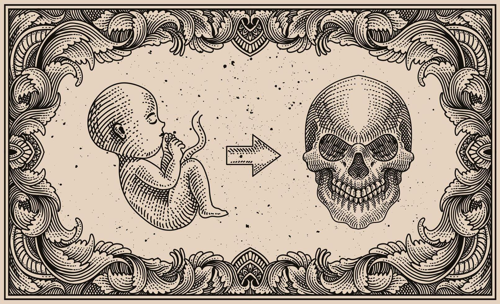 Illustration born to die, fetus and skull on engraving ornament frame - Eps 10 vector