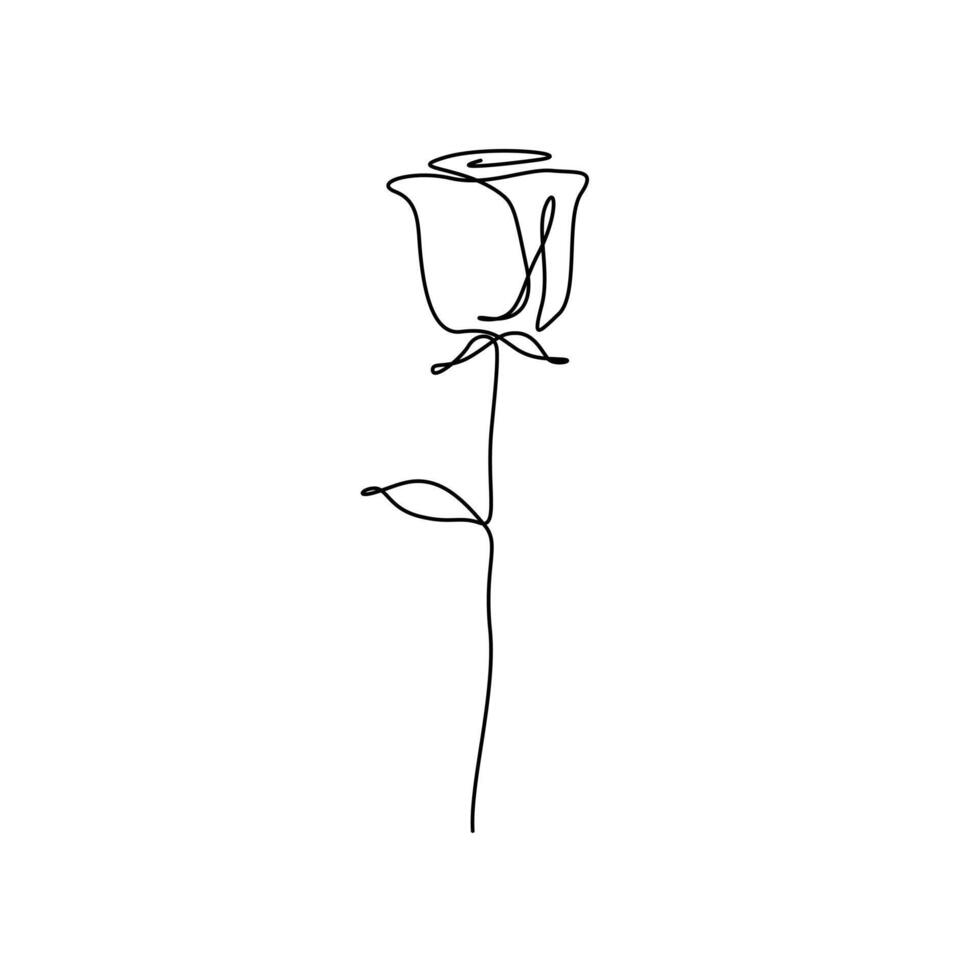 Continuous one line rose flower, minimalism. illustration. vector