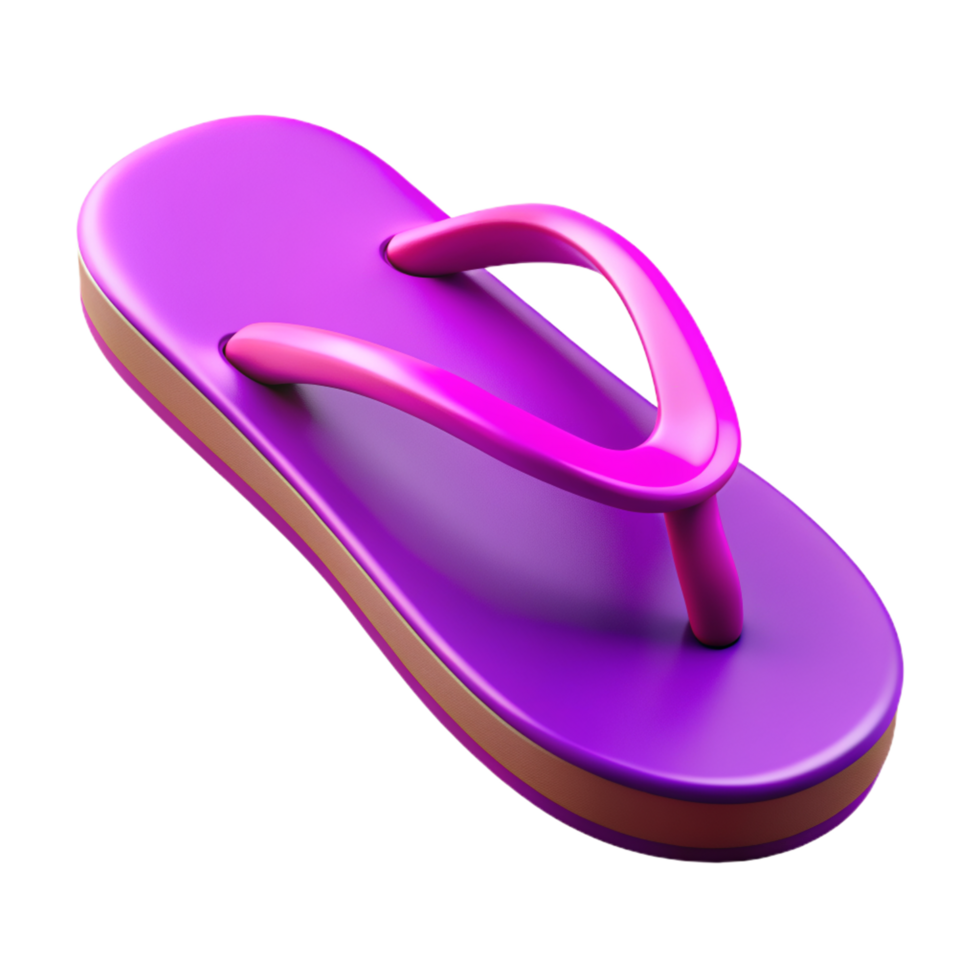 Flip Flop 3d Concept png