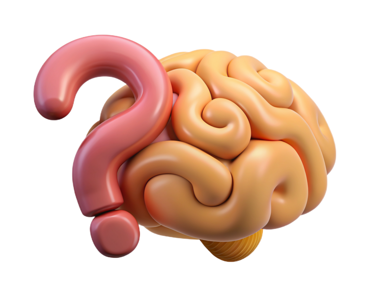 Brain with Question Mark 3d Object png