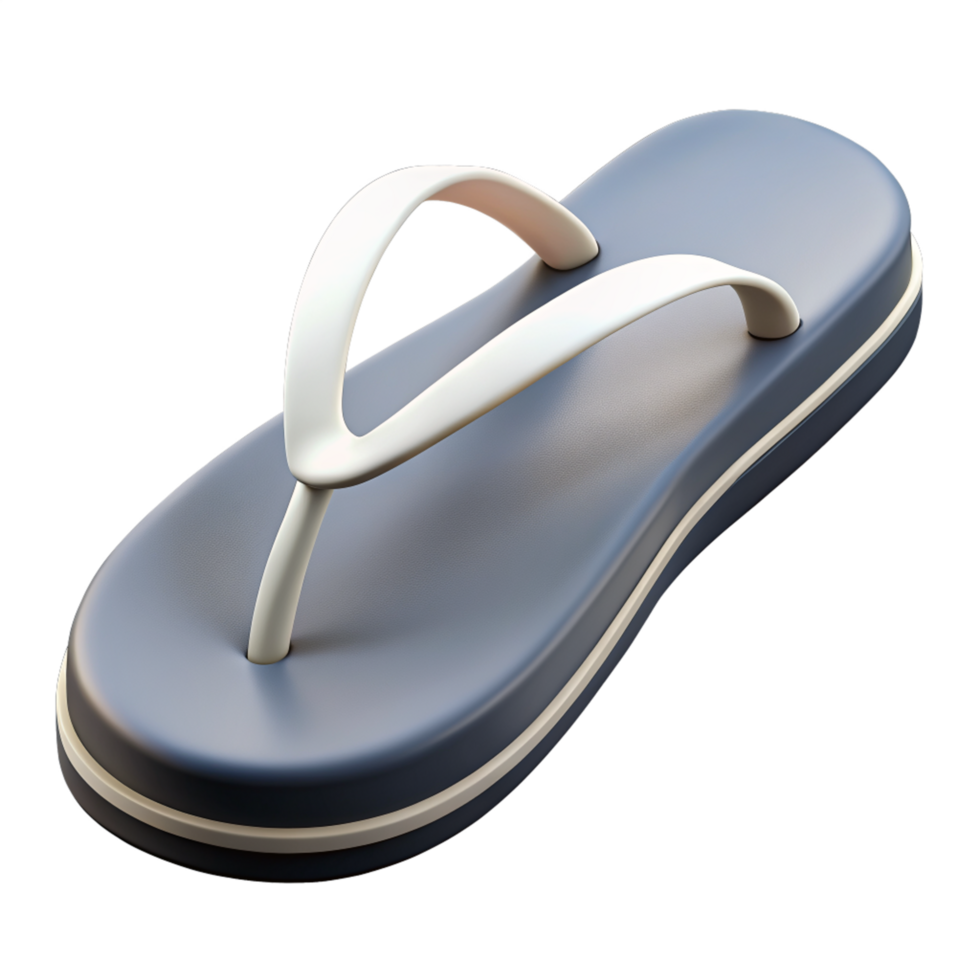 Flip Flop 3d Illustration png