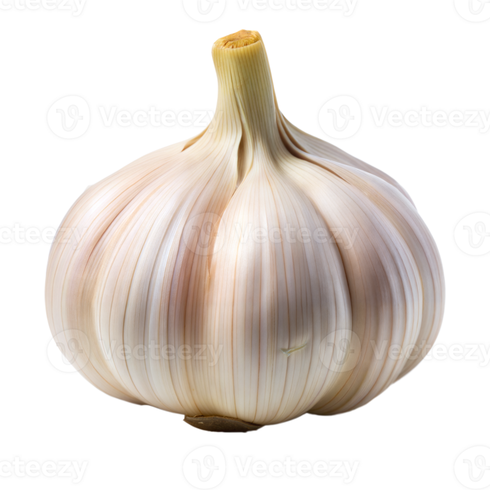 White Garlic on Transparent Background png
