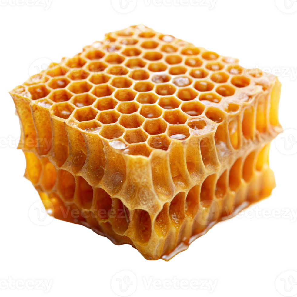 Honeycomb With Honey on Top png