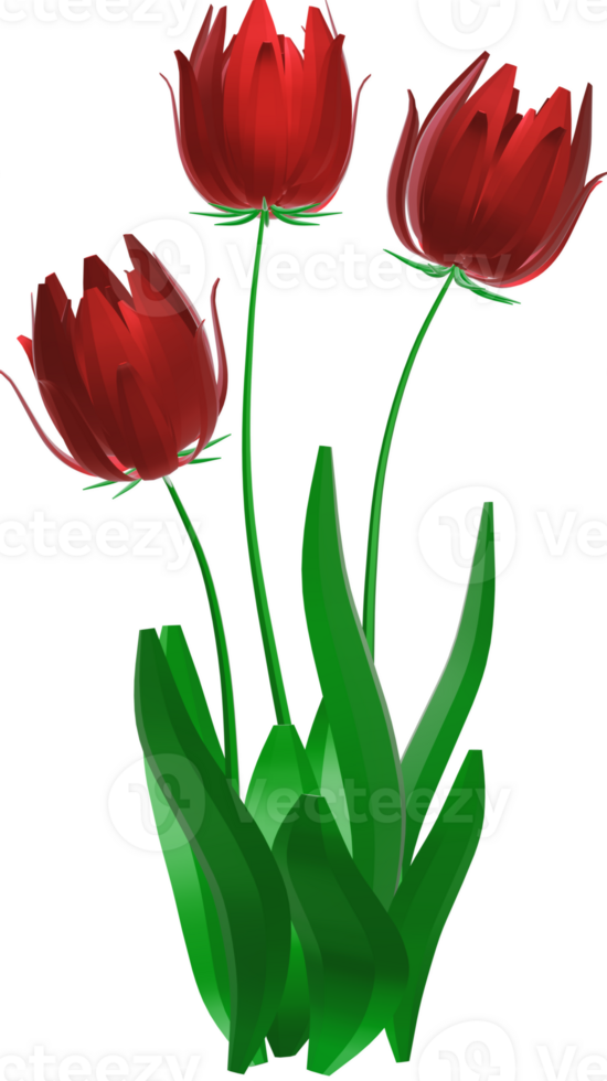 3D flowers red 45800860 PNG