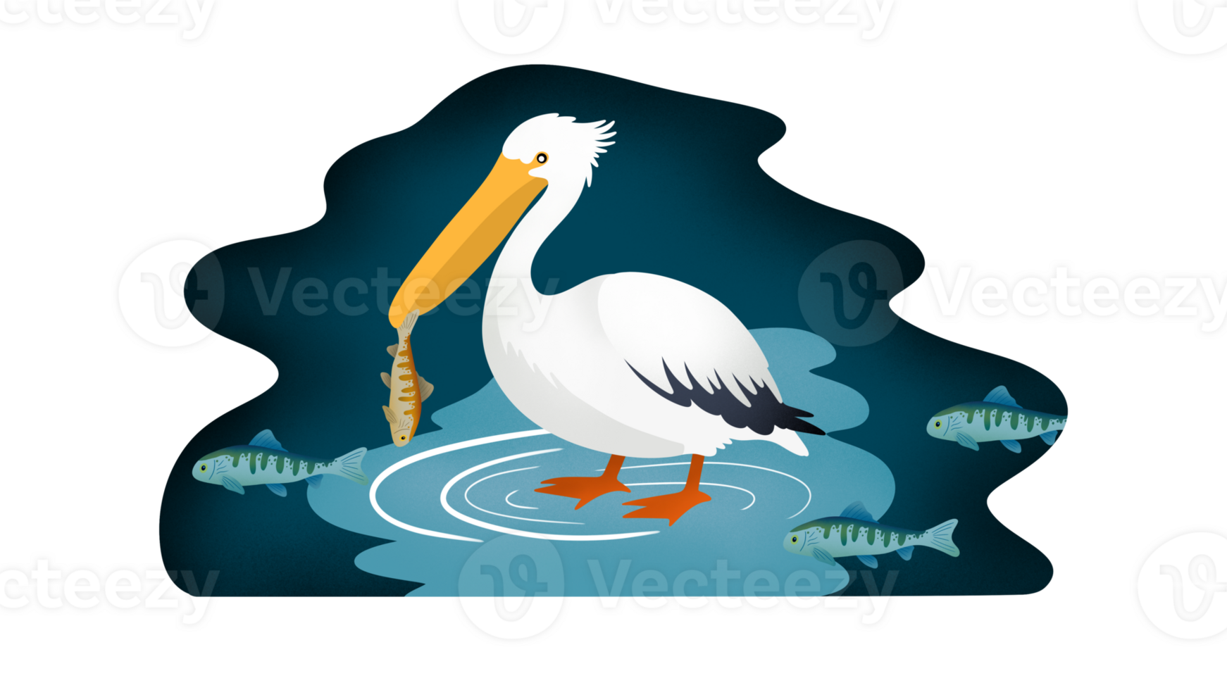 heron in water and fish, A heron bird stands on one leg in the water of