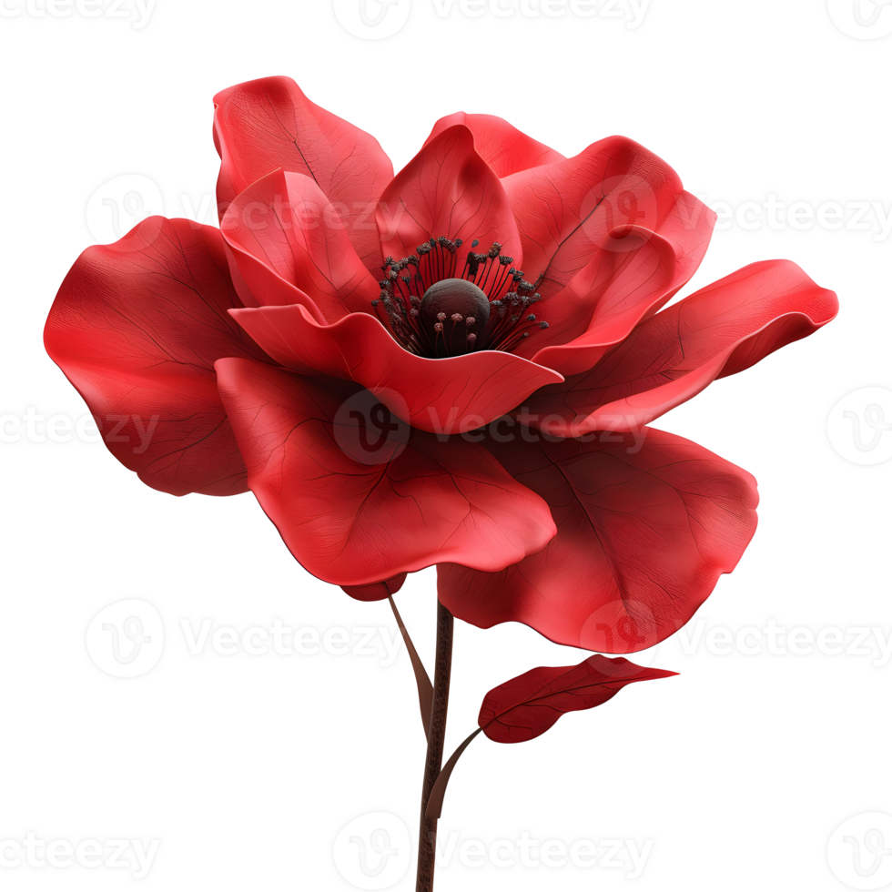 Beauty flower isolated on transparent background. png