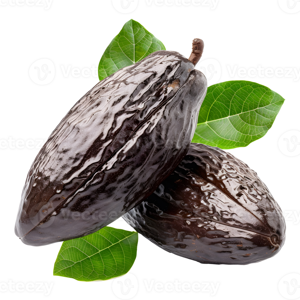 Cocoa Fruits Isolated on Transparent Background. png