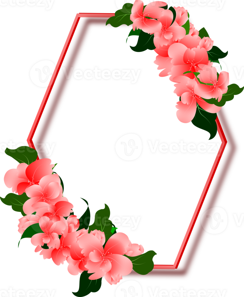 Pink flowers with hexagon frame png
