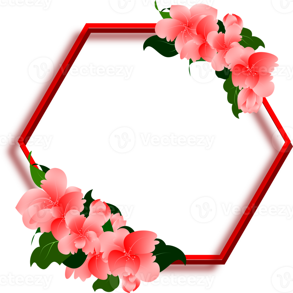Pink flowers with hexagon frame png