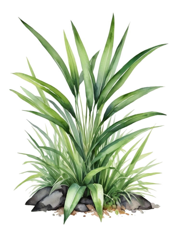 watercolor tropical bush transparent background png