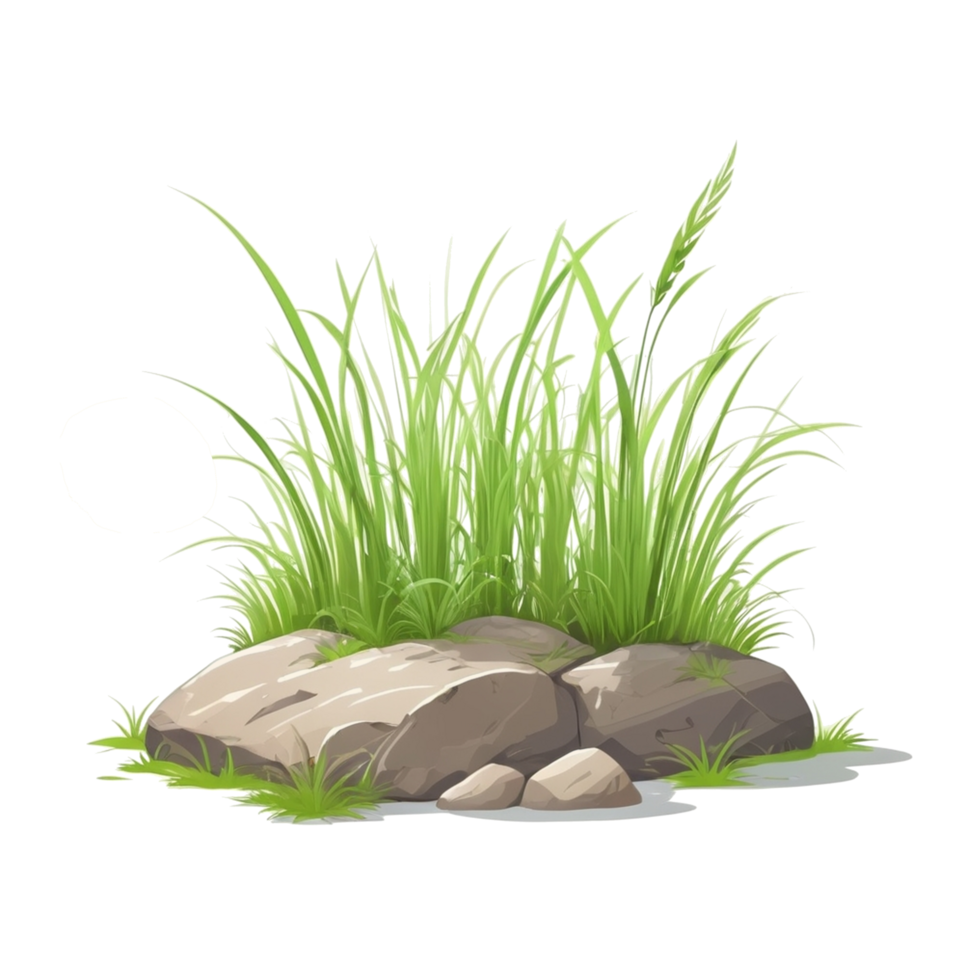 grass cartoon with transparent background png