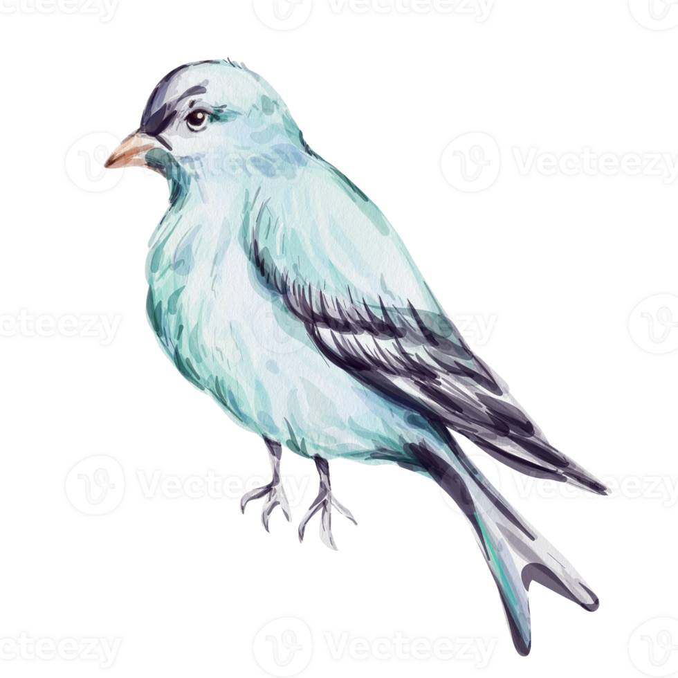 Watercolor blue bird illustration, capturing nature and wildlife essence with delicate strokes in vintage style for invitation, wedding, printing, textile, greeting card, fabric png