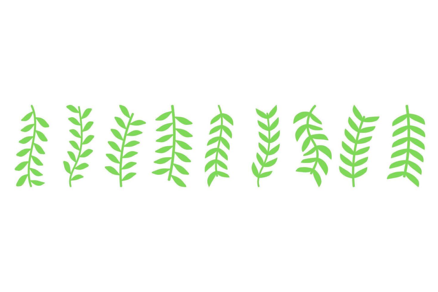 Flower vine icon set. Botanical decoration vector