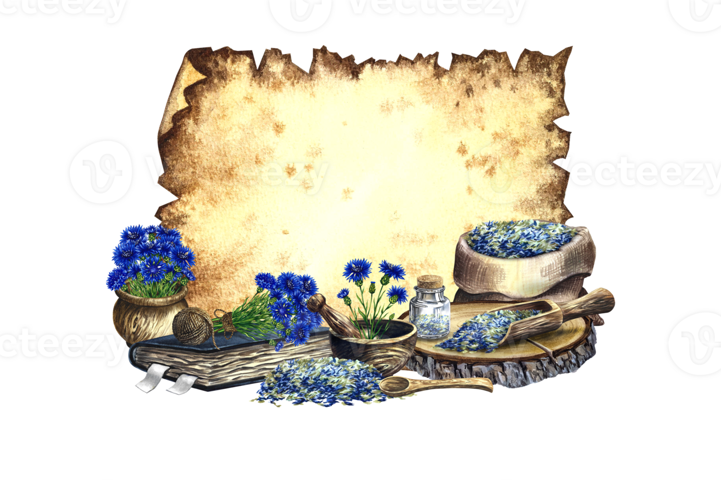 Old parchment for inscription with cornflower, medicinal herb, dried, crushed and fresh. Wooden utensils and an old recipe book. For pharmacy and spa care. watercolor hand drawn illustration. png