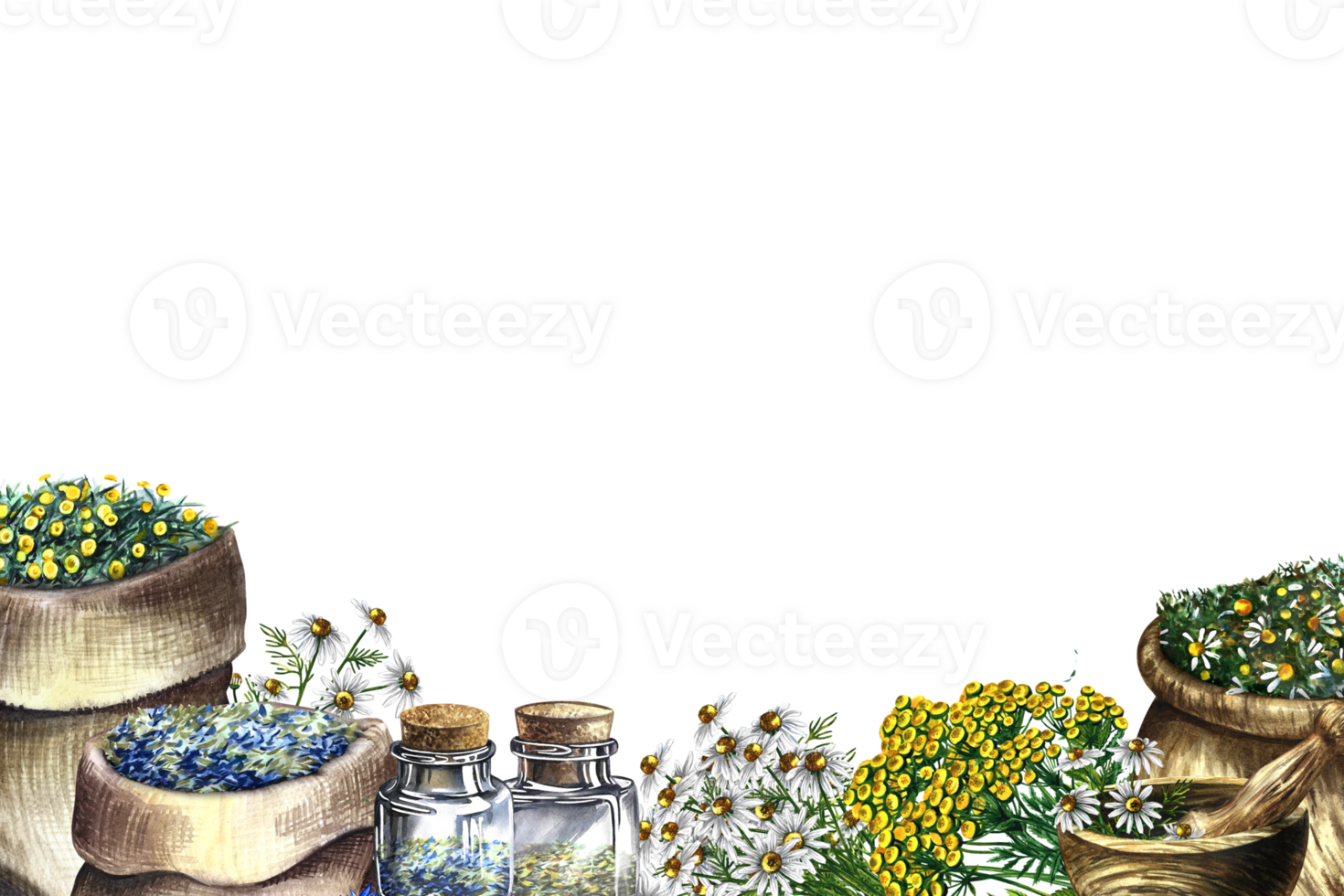 Medicinal herbs cornflower, chamomile and tansy. Frame, banner. Dried, crushed in a linen bag, in glass bottles and a wooden pot. Mortar and pestle crusher. Watercolor hand drawn illustration. png