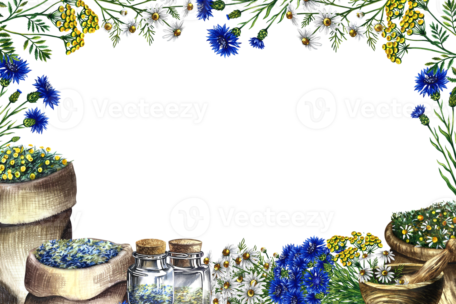 Medicinal herbs cornflower, chamomile and tansy. Frame, banner. Dried, crushed in a linen bag, in glass bottles and a wooden pot. Mortar and pestle crusher. Watercolor hand drawn illustration. png