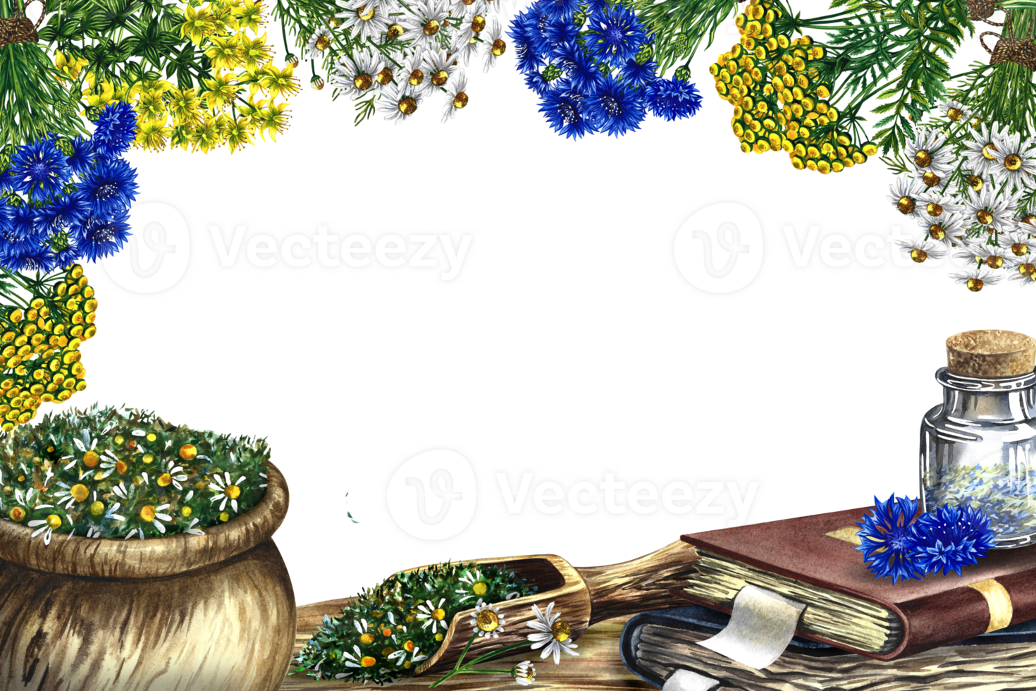 Medicinal herbs cornflower, chamomile and tansy and Hypericum ramosissimum. Frame, banner. Dry grind in a wooden pot and scoop. Glass vial with medicine on an old recipe book. Watercolor illustration. png