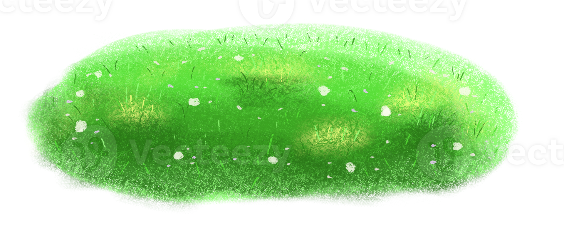 Fresh green grass with flowers png