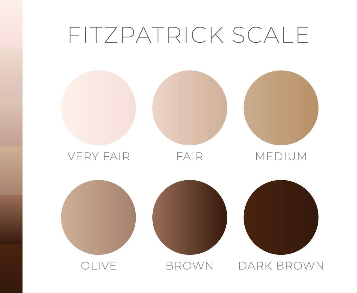 Skin Color by Fitzpatric Scale Light to Dark vector