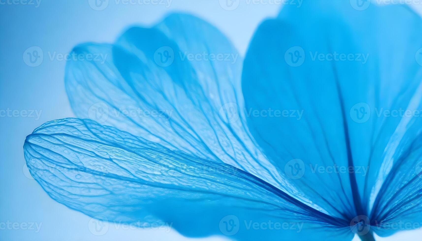Blue calm Wallpaper background concept,Close-up shot of delicate blue flower petals, highlighting their intricate textures photo