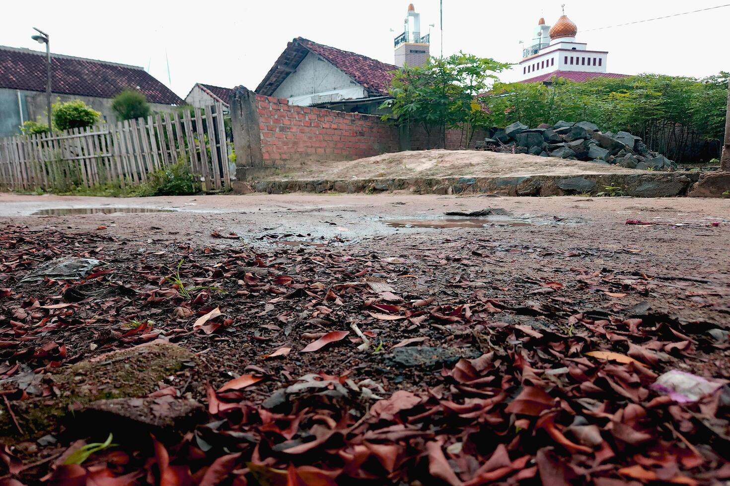 view of a dirt road in a village with a natural concept photo