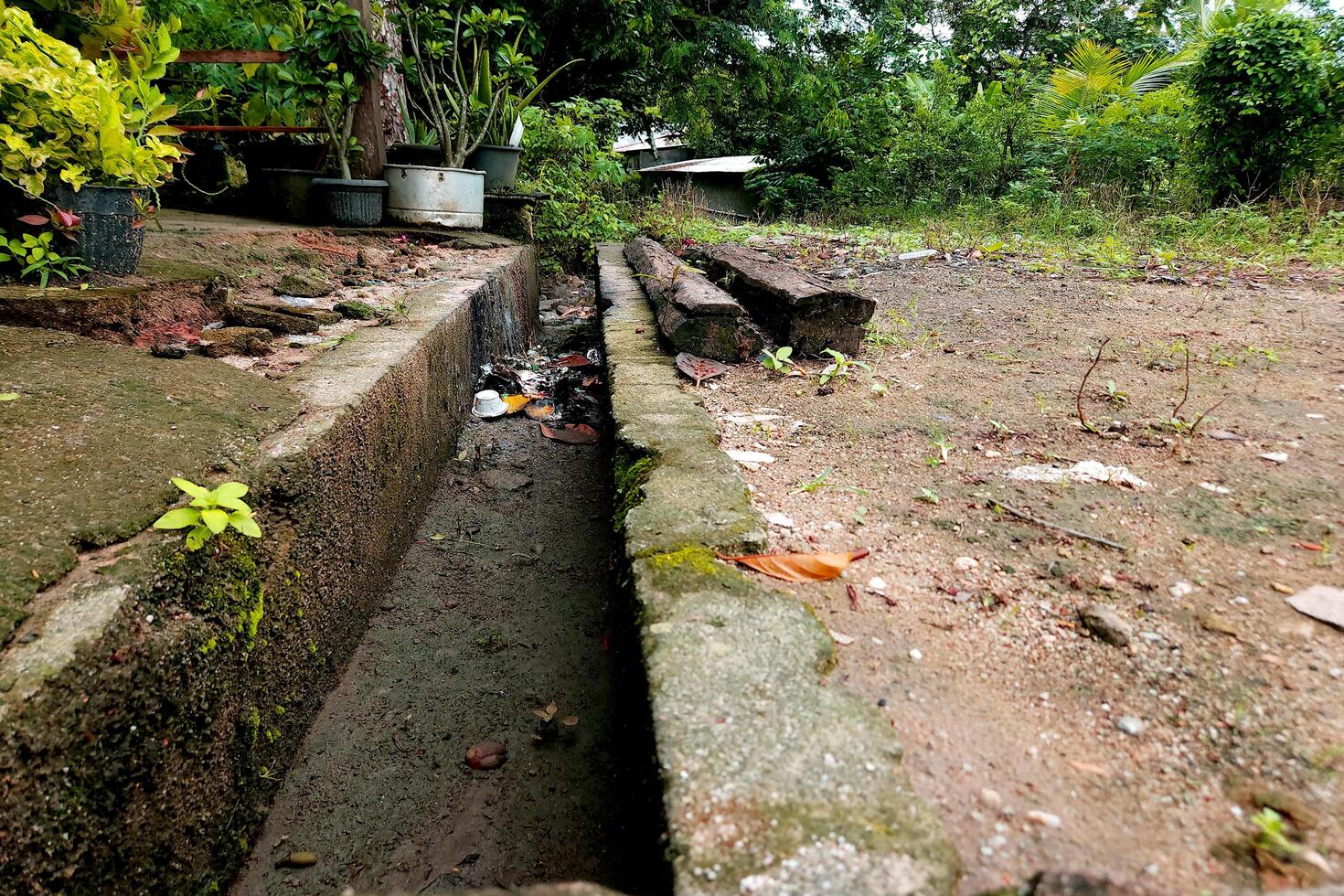 view of a dirt road in a village with a natural concept photo