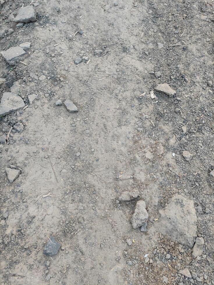 Bad Road Limestone Asphalt Texture Background photo