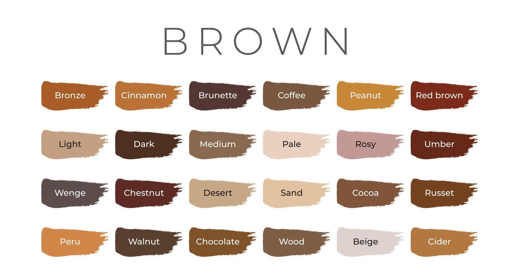 Brown Paint Color Swatches with Shade Names on Brush Strokes vector