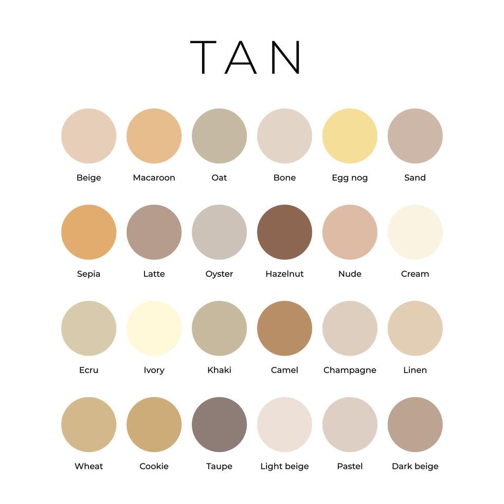 Tan Beige Color Shades Swatches Palette with Names vector