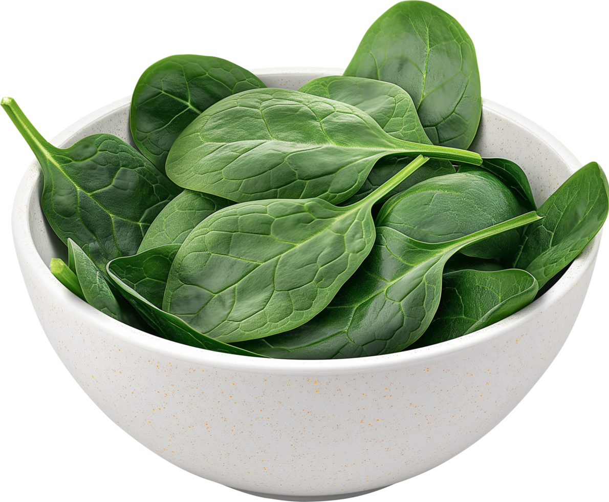 Fresh spinach leaves in a bowl isolated on a transparent background png