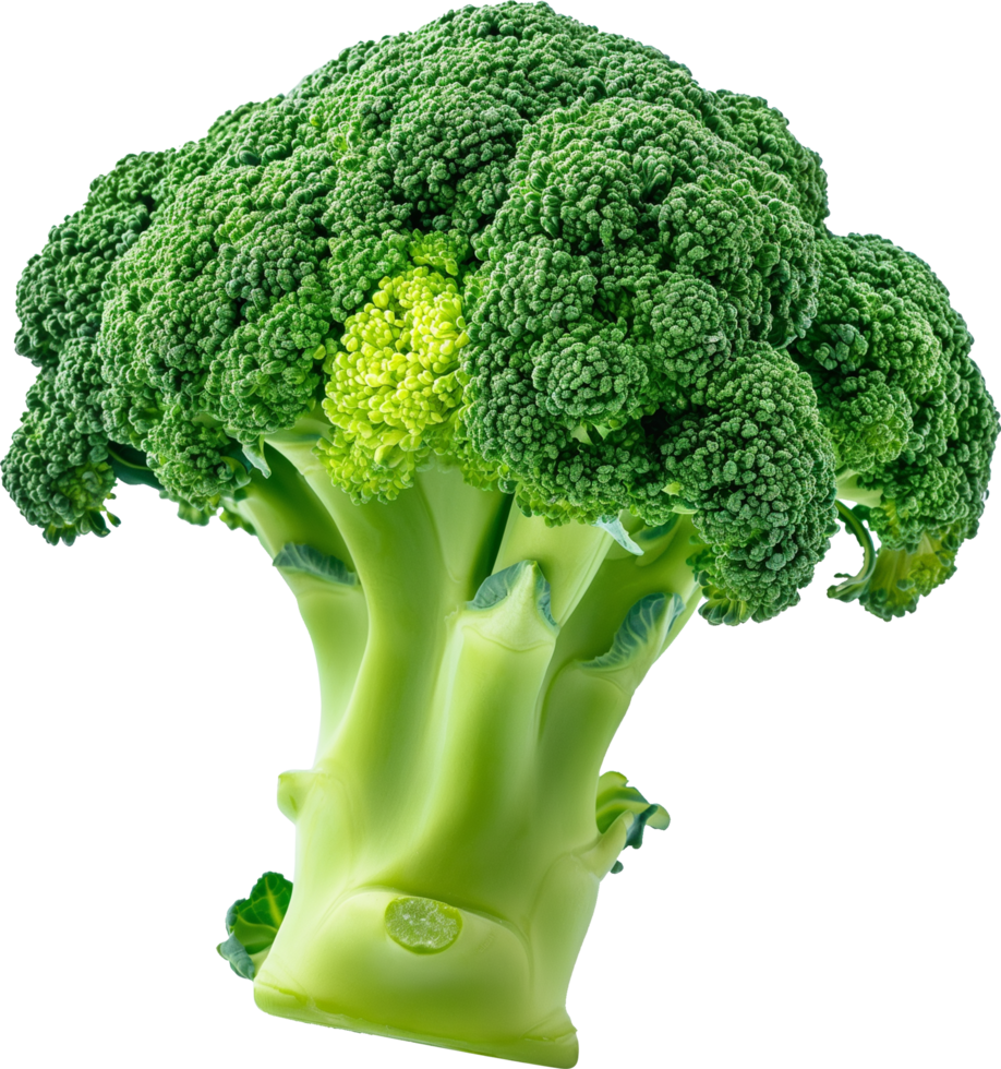 A Fresh green Broccoli vegetable isolated on a transparent background png