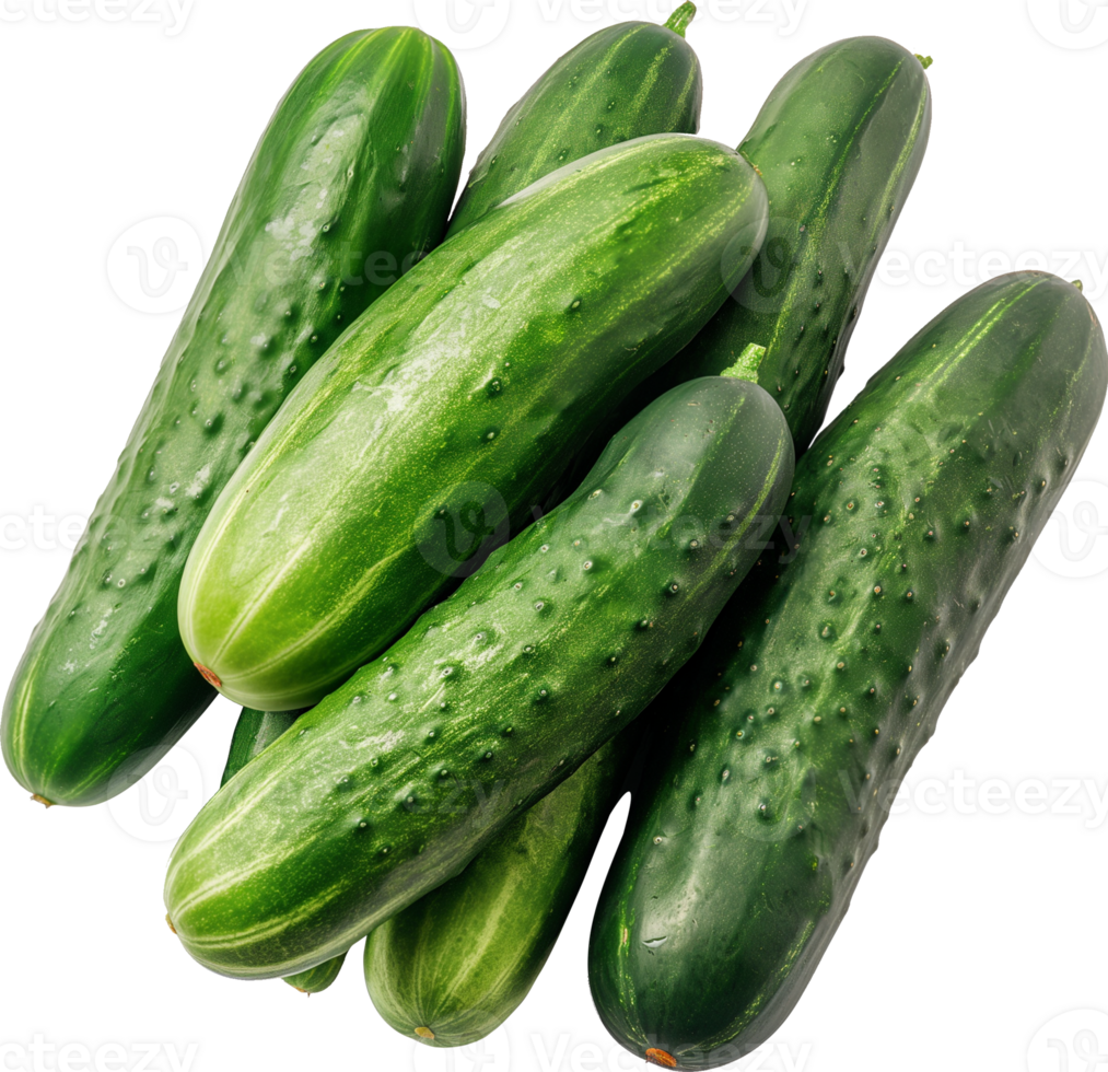 Fresh Green Cucumber isolated on a transparent background png