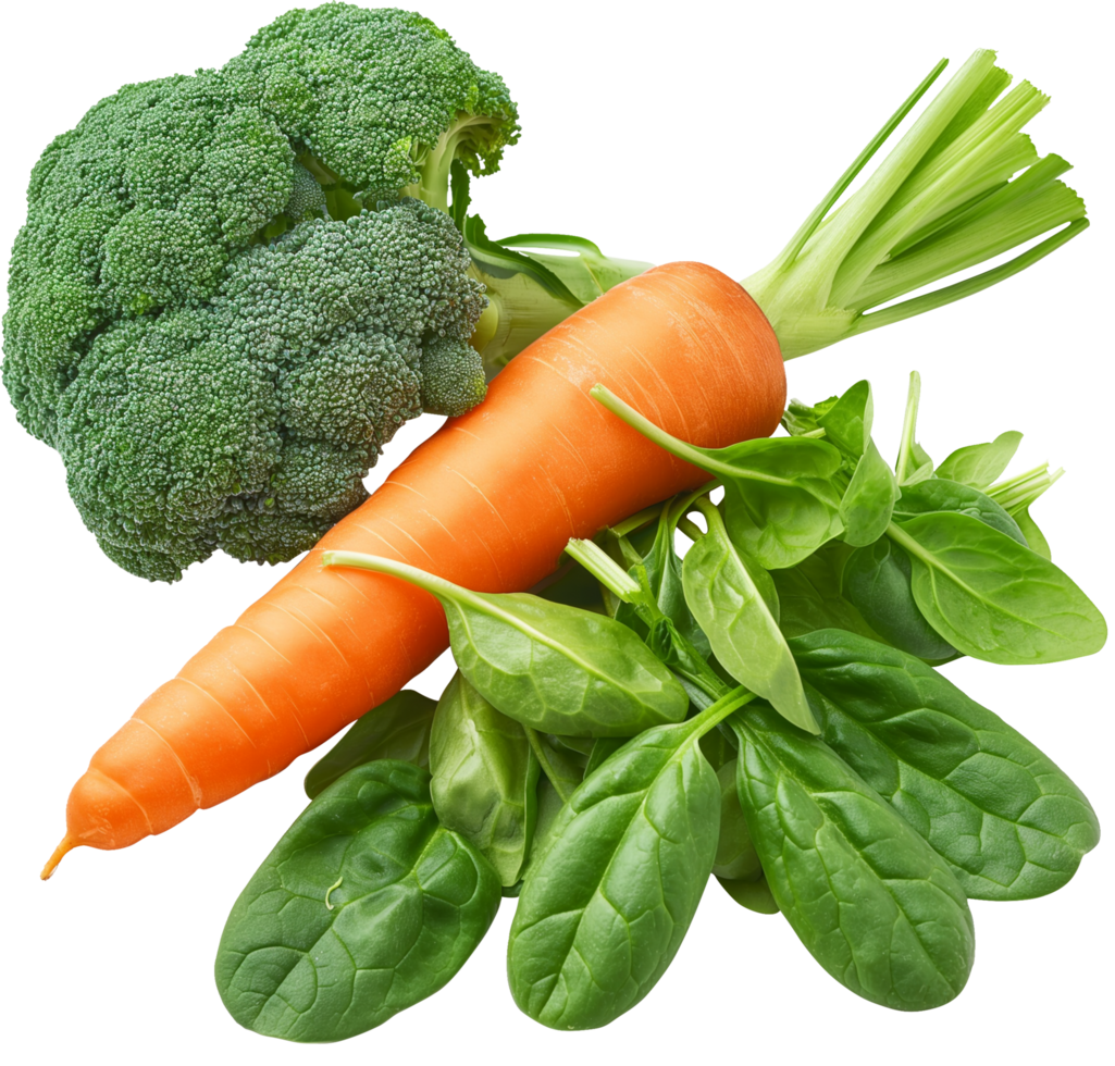 Carrot broccoli and spinach vegetable isolated png