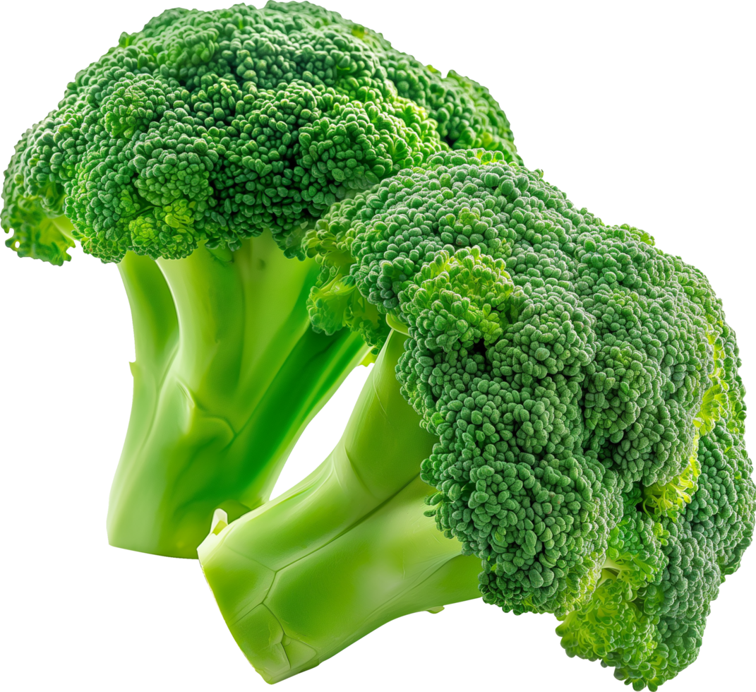 A green and fresh broccoli vegetable isolated png