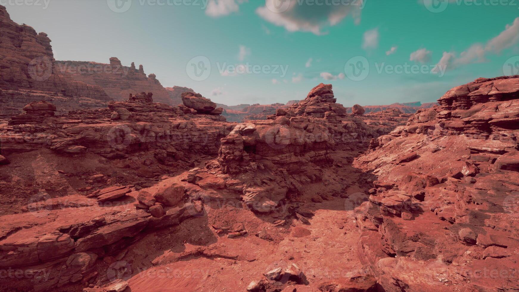Monument Valley desert canyon in USA photo