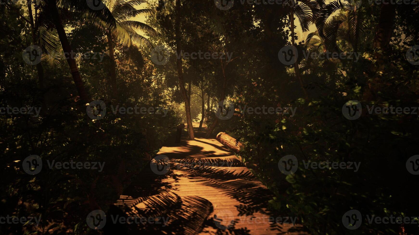 Trekking through the foggy wilderness of the forest photo