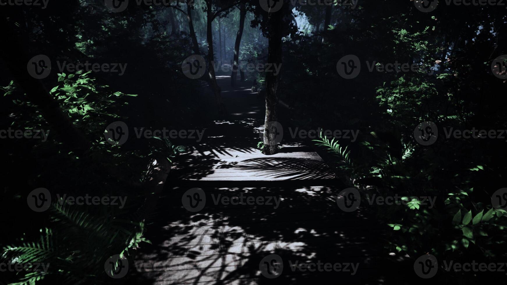 old wooden path twists through a bright jungle photo