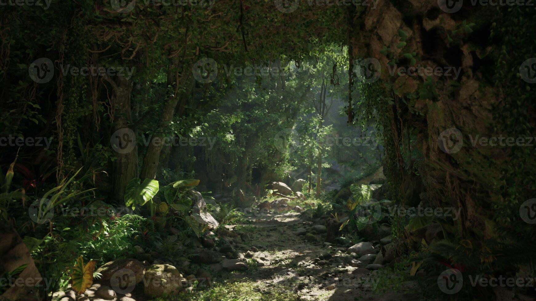 A serene dirt path winding through a lush forest in New Zealand photo