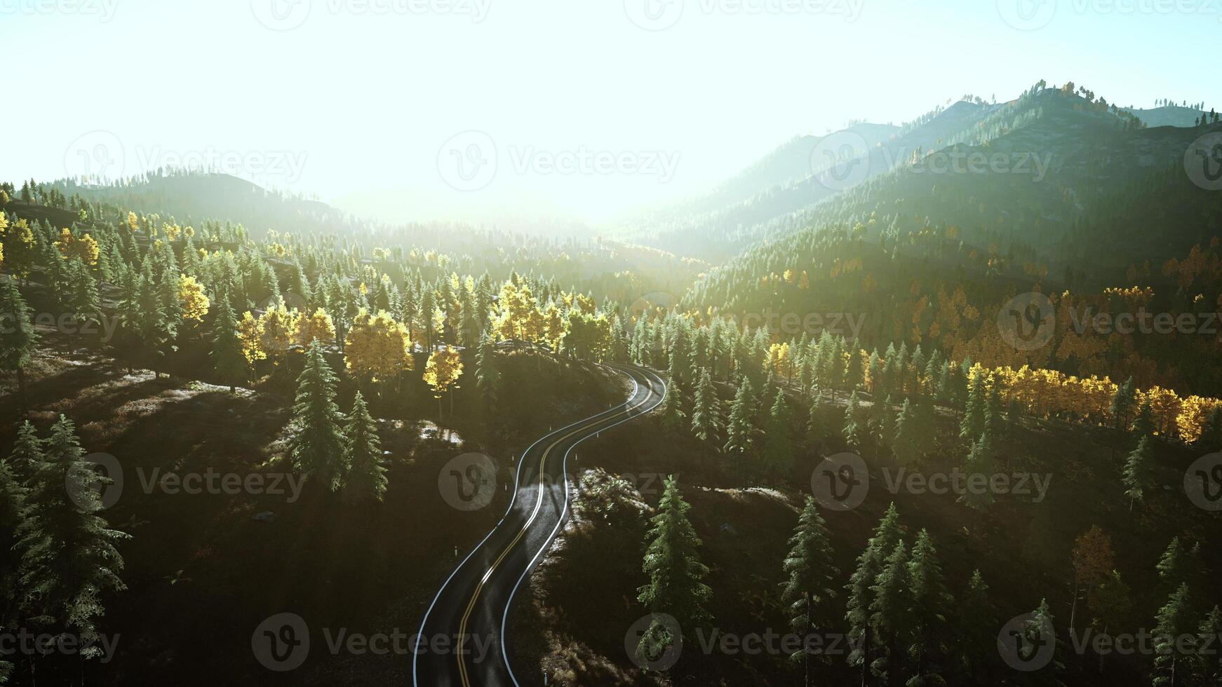 A scenic mountain road winding through a forest during a captivating sunset photo
