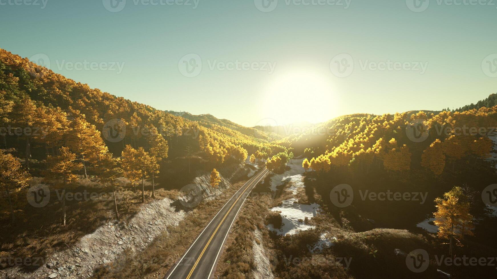 An aerial view of a road surrounded by trees photo