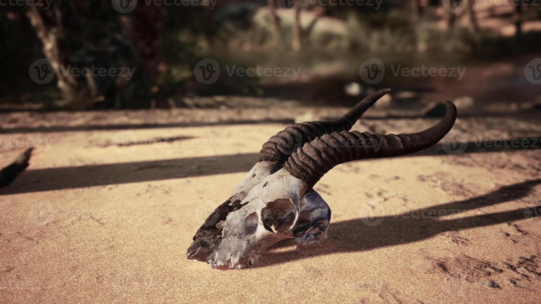 A dead animal laying on top of a dirt field photo