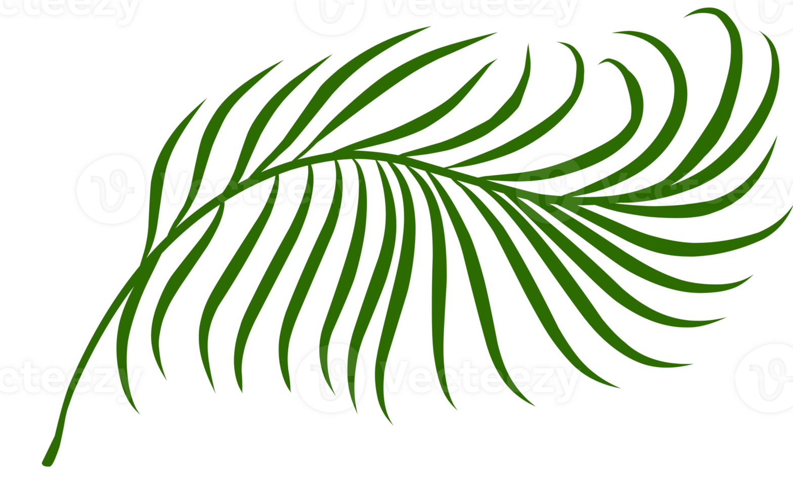 Summer palm leaves illustration png